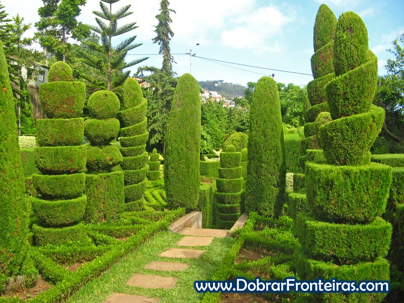 Esculturas de arbustos no jardim botânico