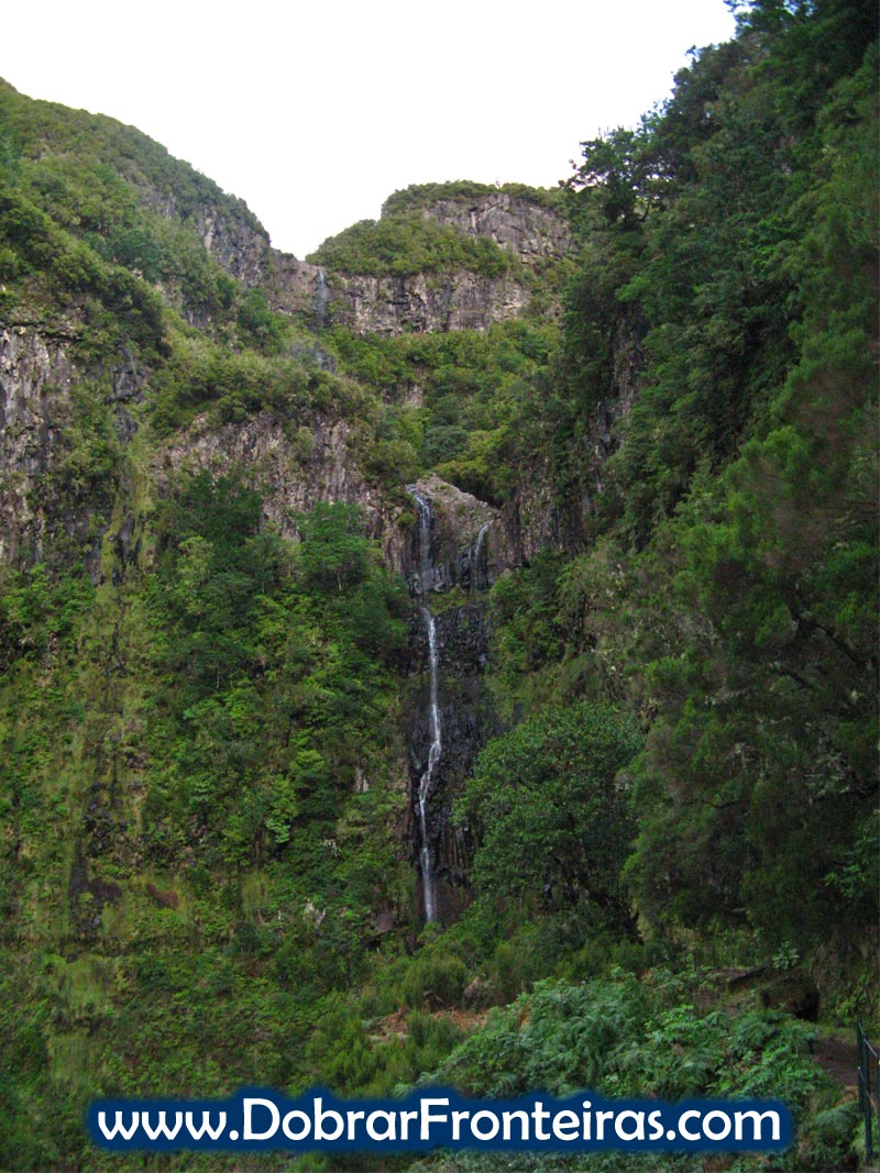 cascata-risco-madeira