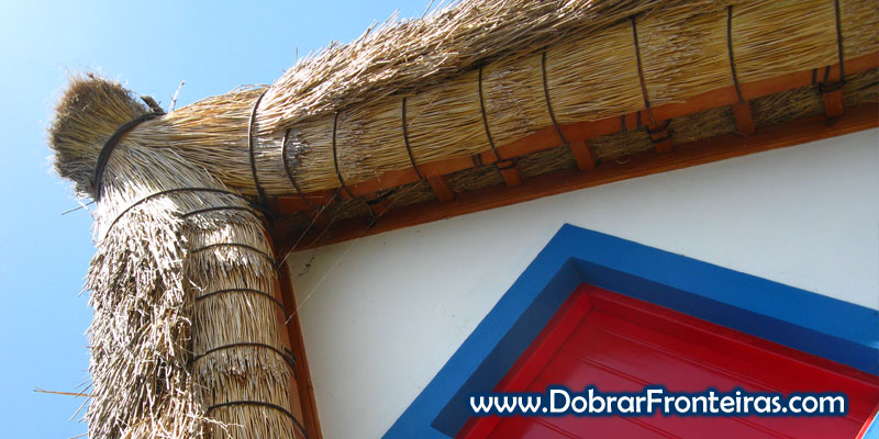 Pormenor do telhado das casas típicas de Santana