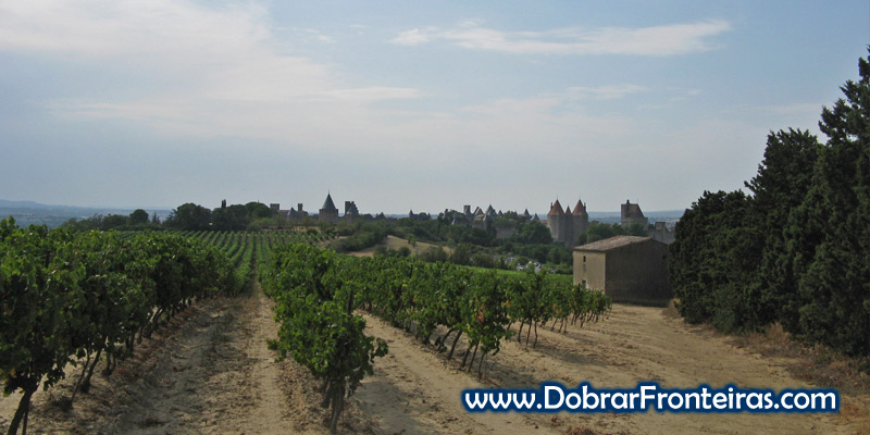 Linda vista das muralhas de Carcassone desde as vinhas que rodeiam a cidade