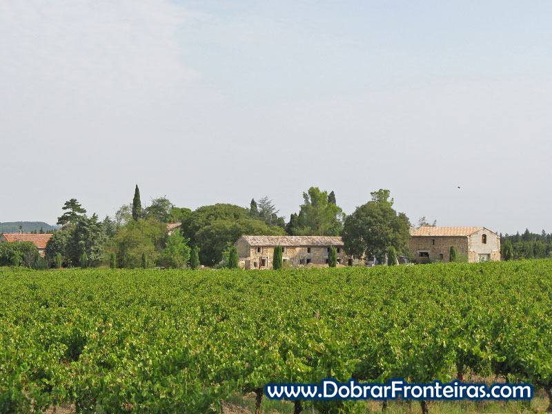 As vinhas são uma constante nesta região de França
