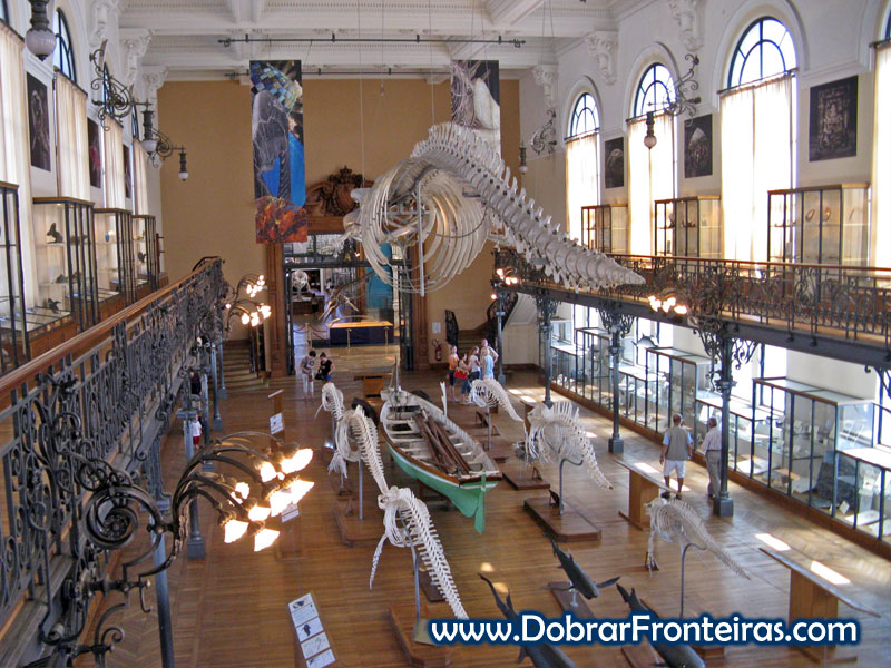 sala museu oceanografico monaco