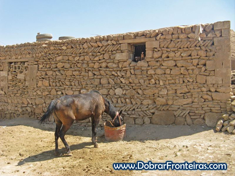 Cavalo a comer junto a casa tradicional