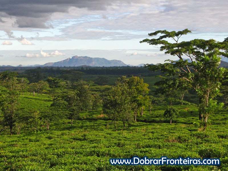 Gurué em Moçambique