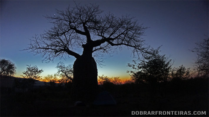 A minha tenda sob o ebomdeiro, ainda na penumbra