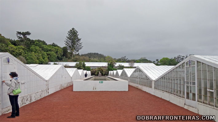 Estufas de ananases A Arruda na Fajã de Baixo, Açores