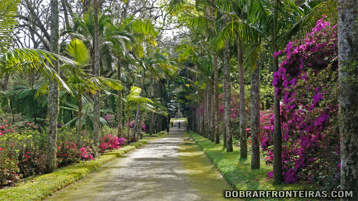 Facilmente se passam várias horas a passear no parque Terra Nostra