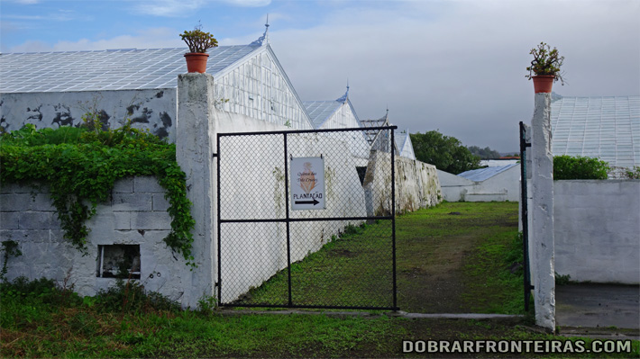 Entrada nas estufas da Quinta das Três Cruzes