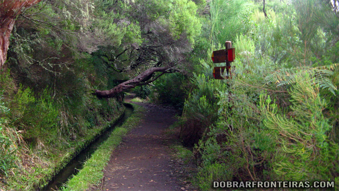 levada