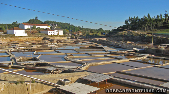 Salinas de Rio Maior