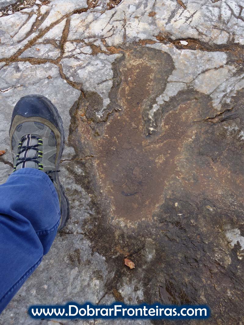 pegada de dinossauro