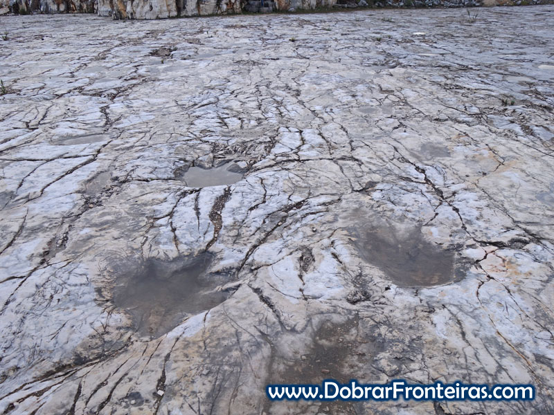 Pegadas de dinossauro na pedreira de Vale dos Meios