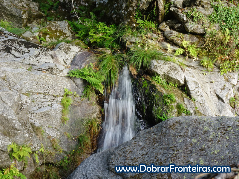 Cascatas da ribeira da Caniça