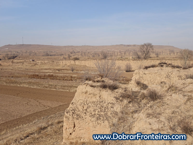 Deshengbao campos cultivo forte