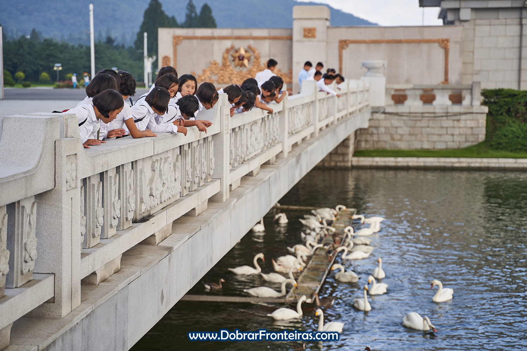 raparigas sobre ponte a dar comida a cisnes