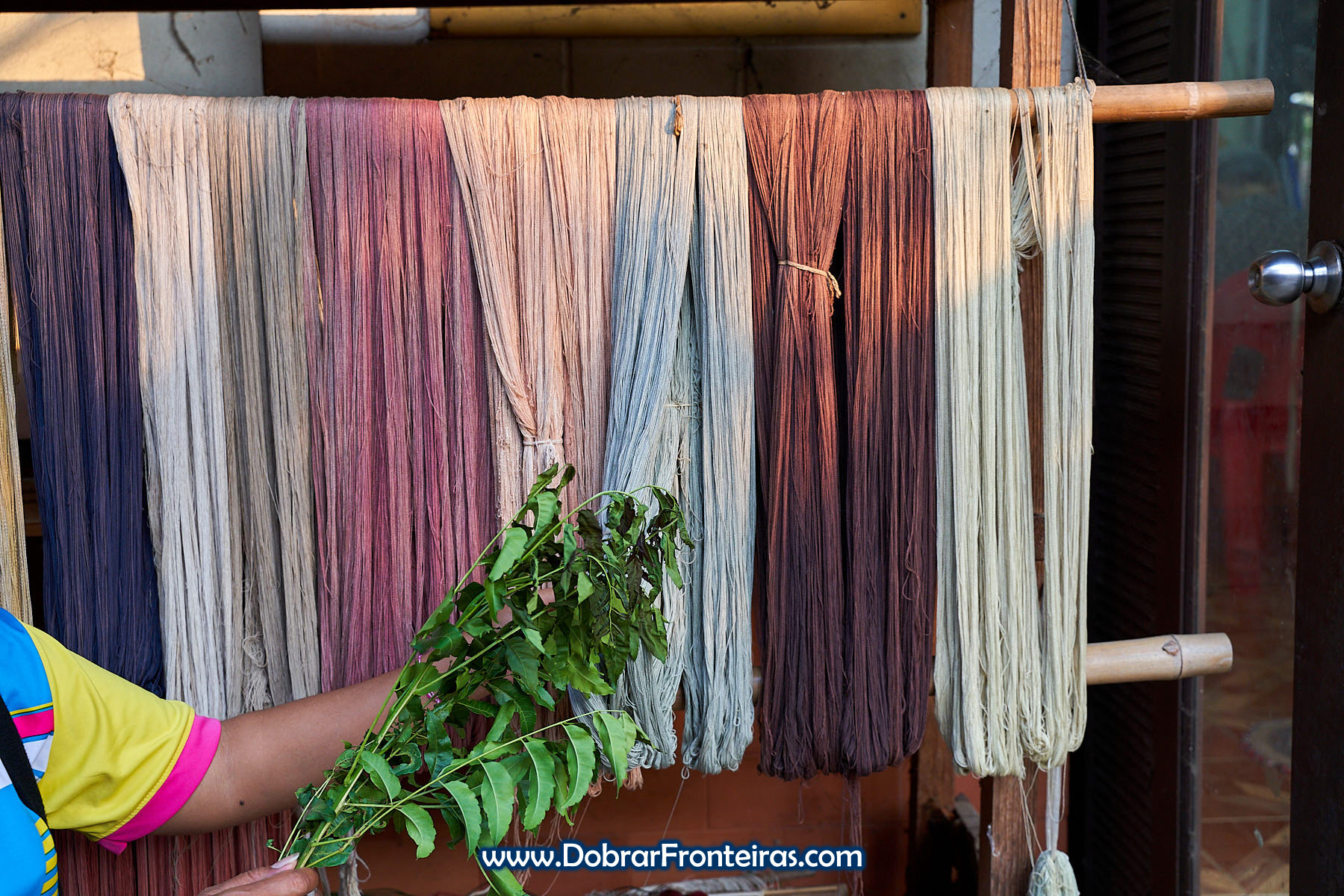 planta para tingir tecidos de forma natural