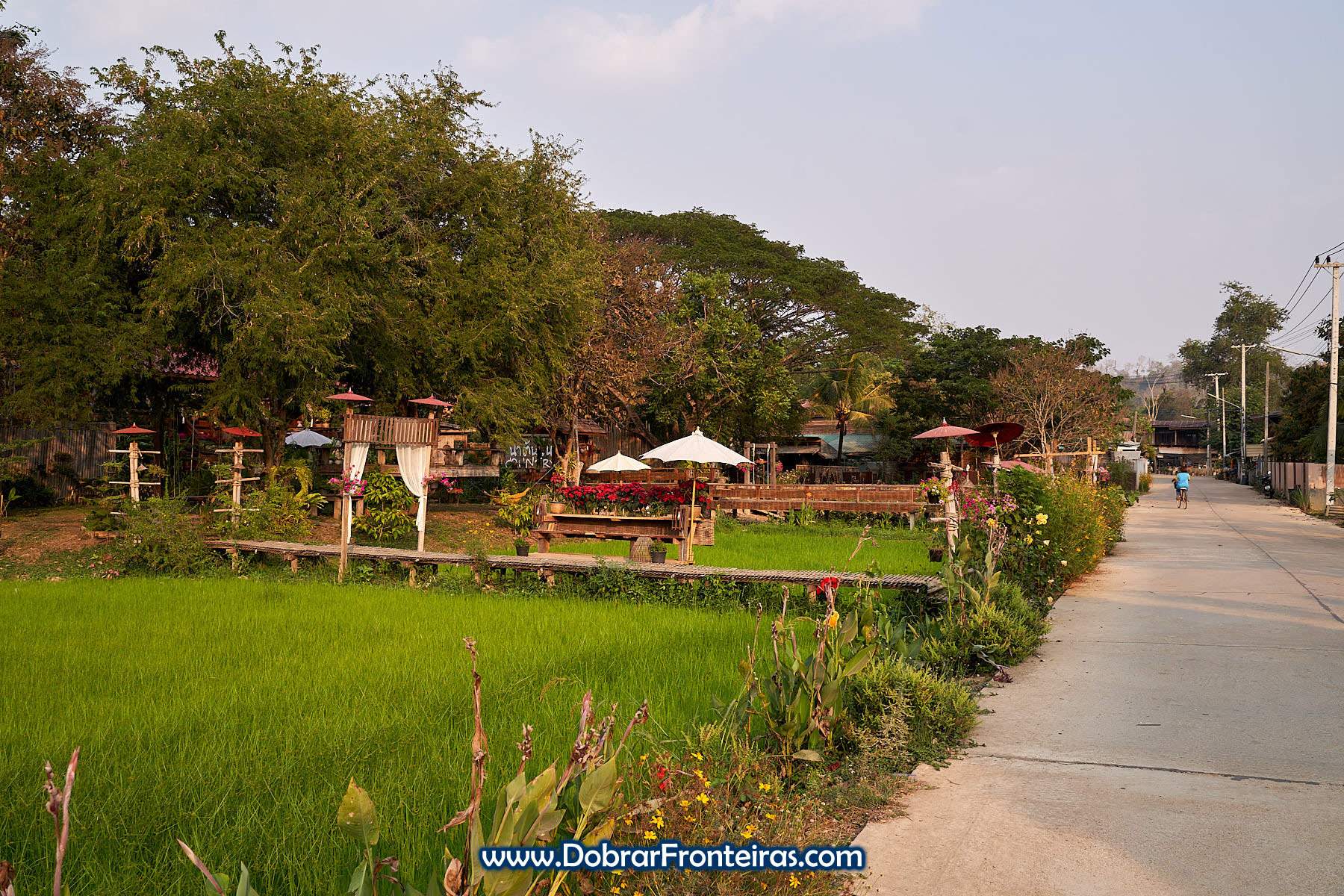 rua de aldeia na Tailandia com campo de arroz