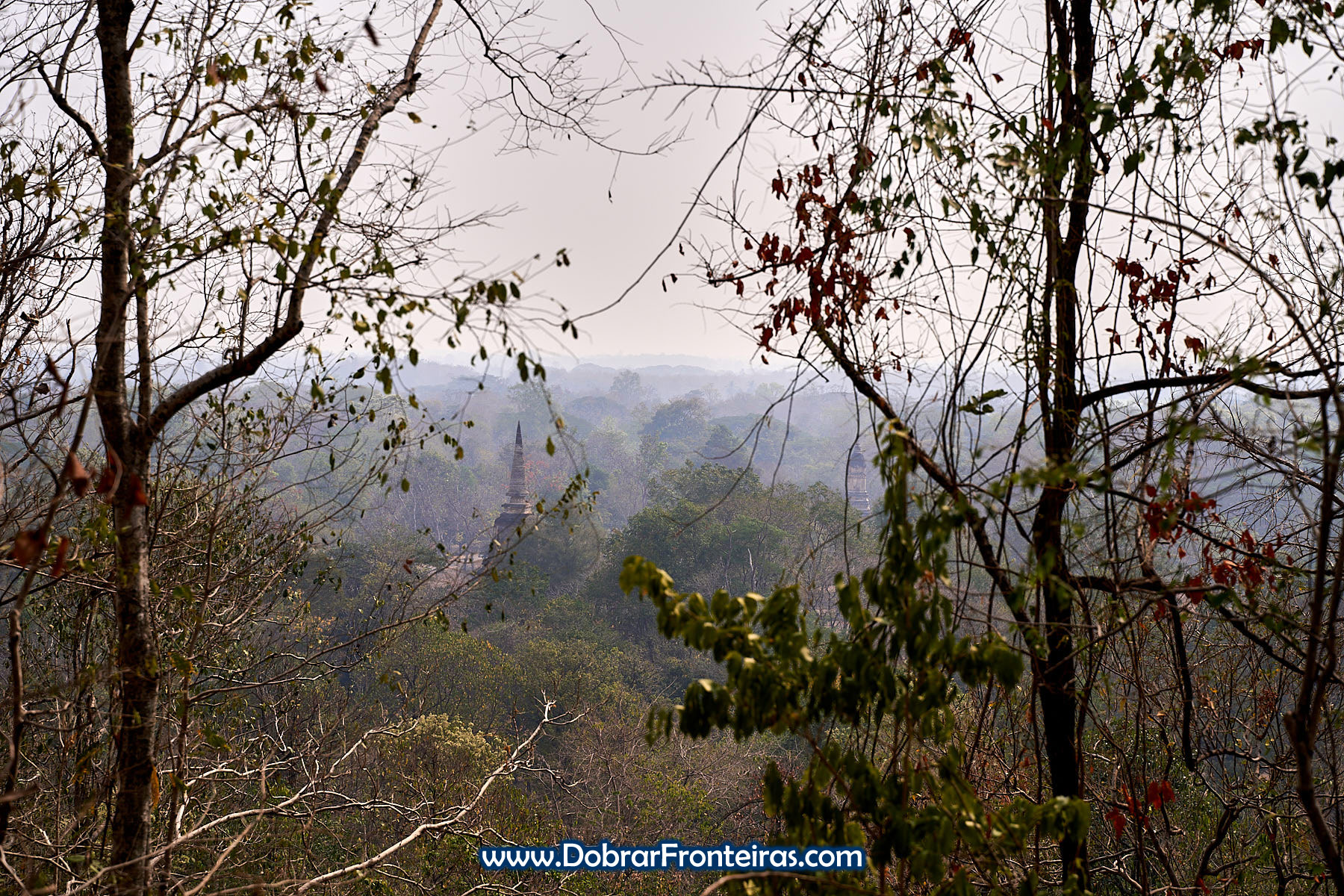 Estupas budistas sobre arvores