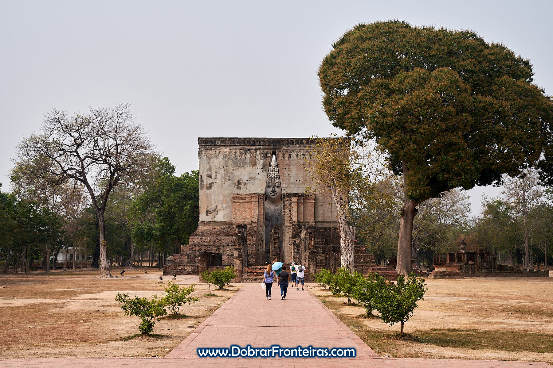Templo com Buda e grande árvore
