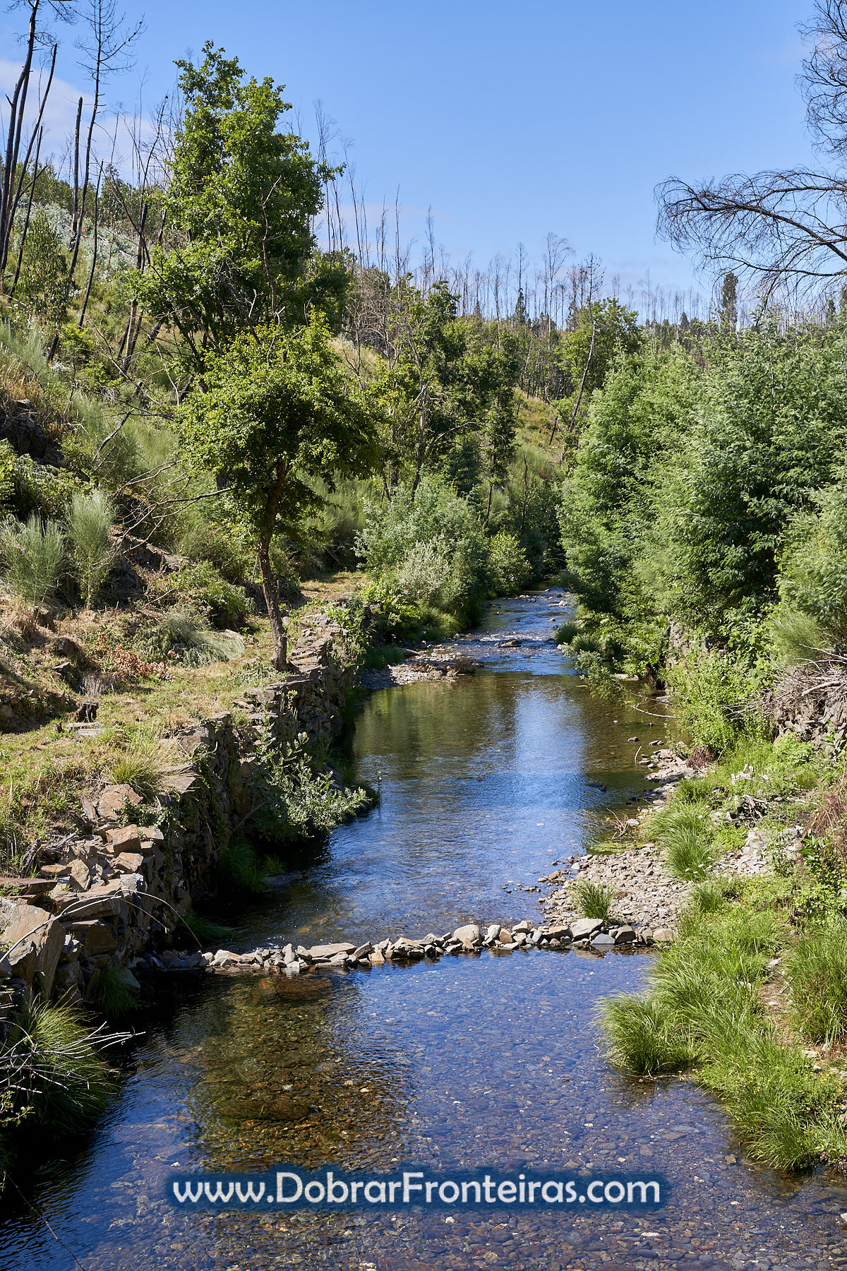 Ribeira de Alge