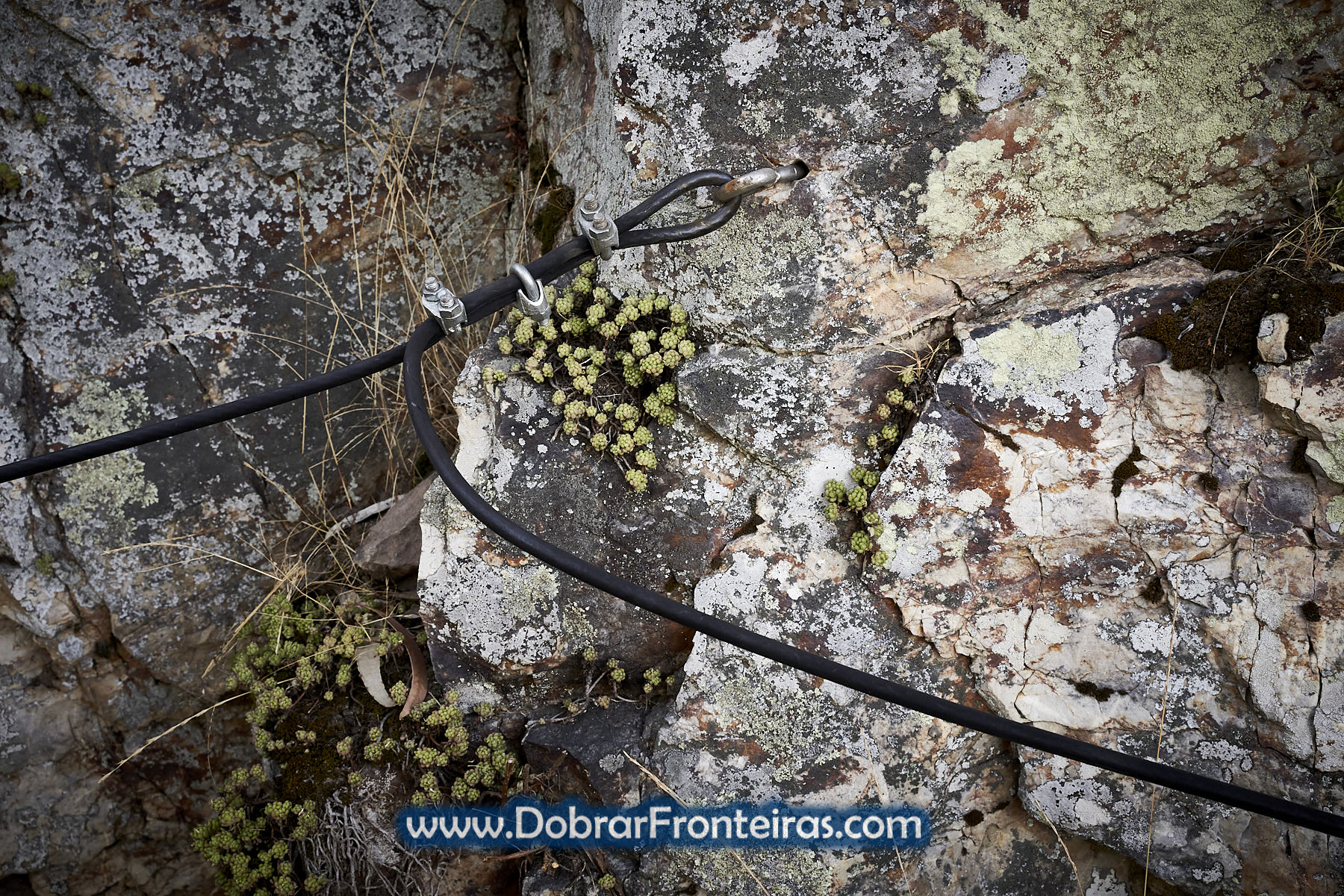 Cabo de segurança em trilho pedestre 