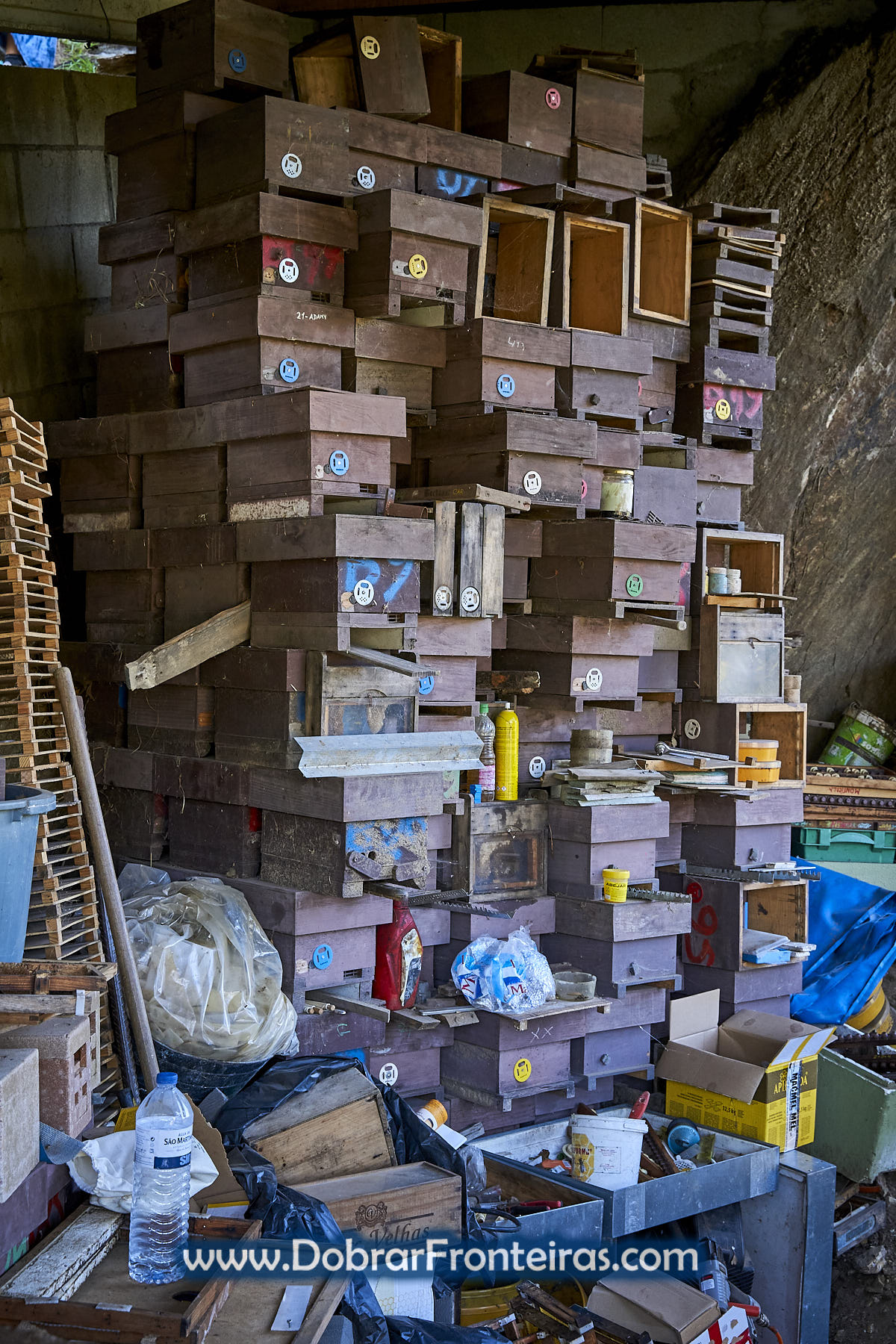 colmeias e utensílios de apicultura Buckfast