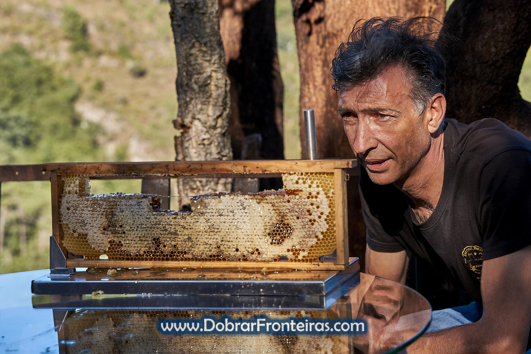 Paulo Gonçalves apicultor Buckfast junto de favo de mel
