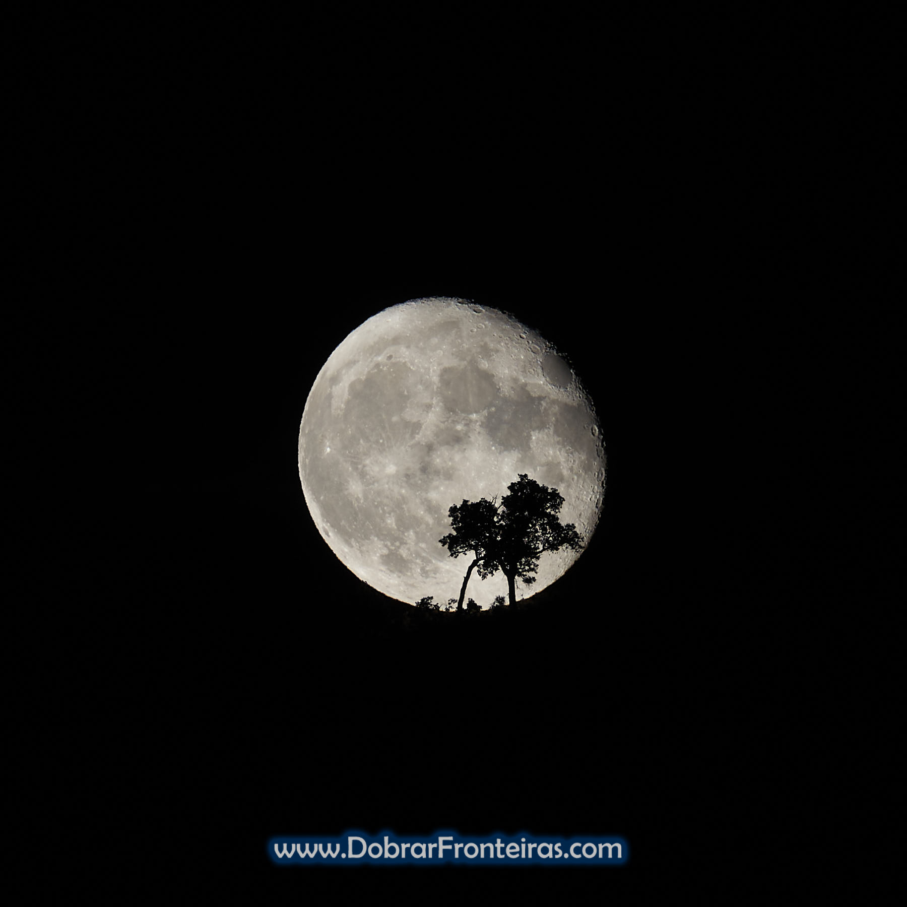 Lua Cheia gigante atrás de árvore