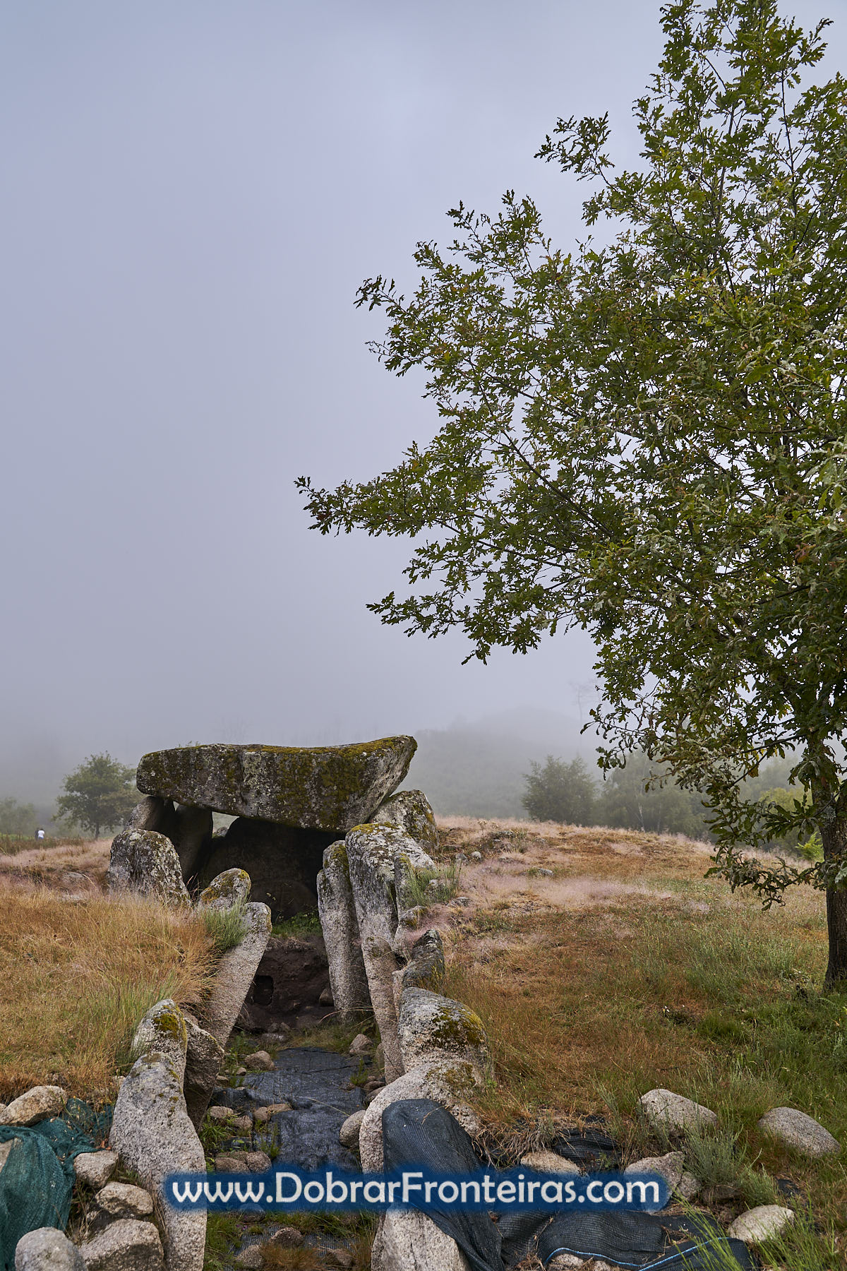 anta da lapa de Meruje