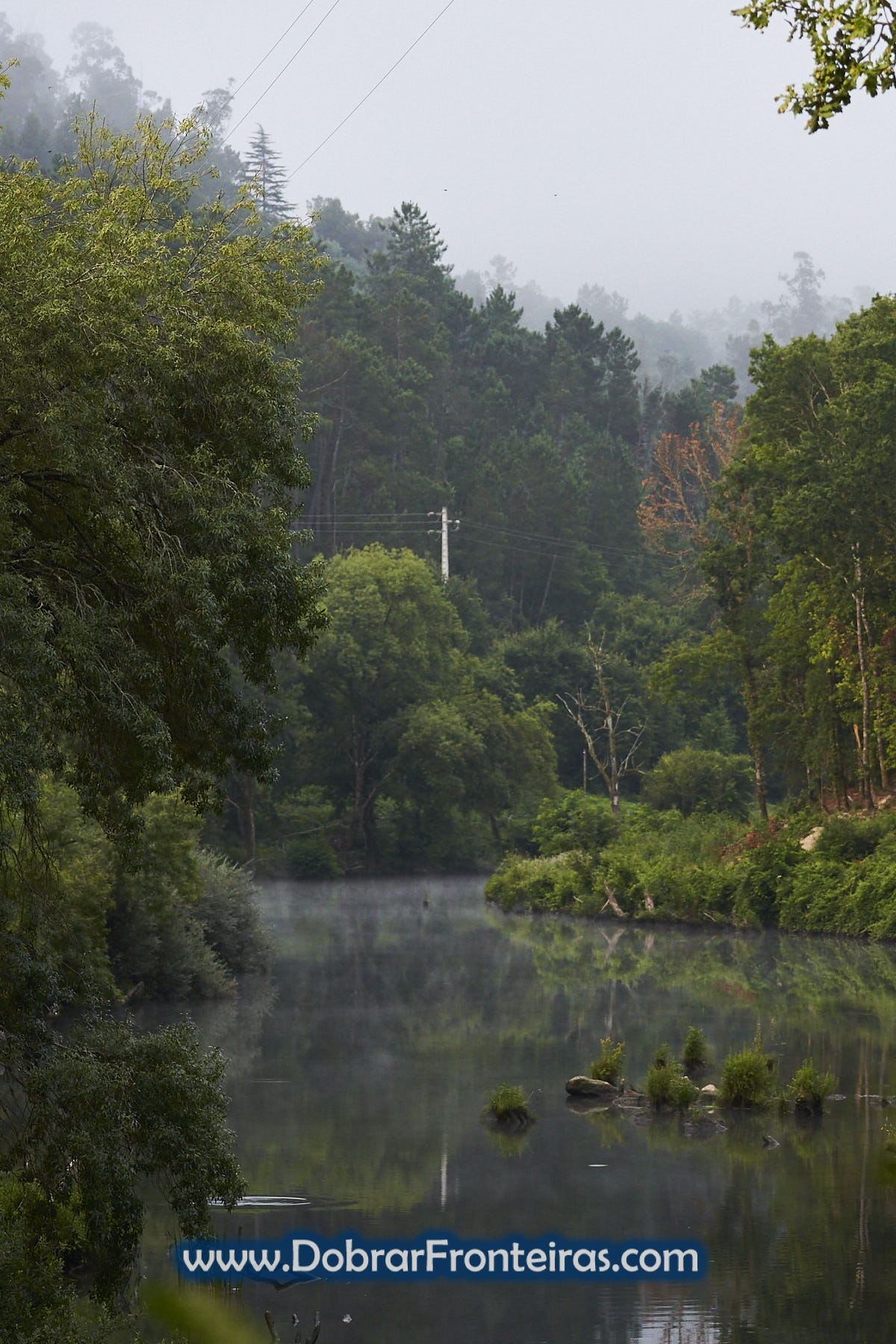 Rio Vouga em natureza verde